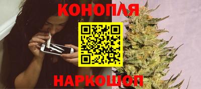 скорость Жуковский