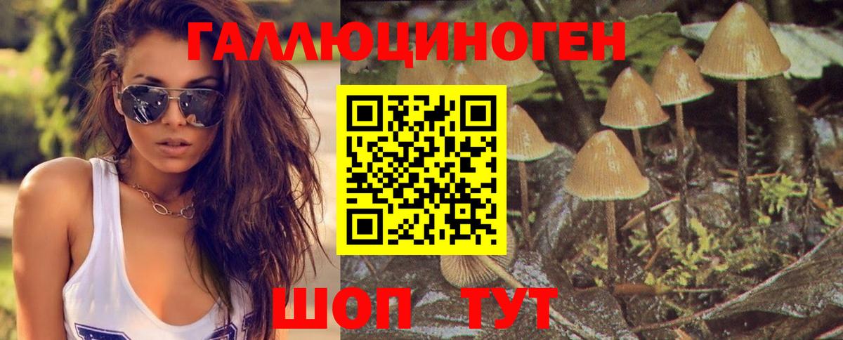 Можга  Галлюциногенные грибы GOLDEN TEACHER  Вход с VPN 