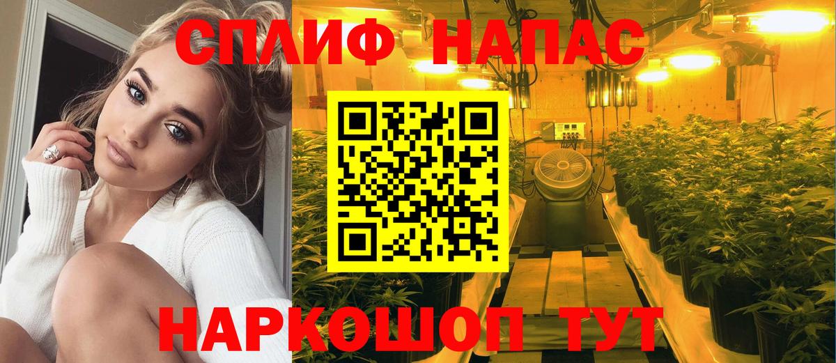 Можга  Конопля THC 21%  Вход с VPN  Каннабис ГИДРОПОН  Марихуана тримм 